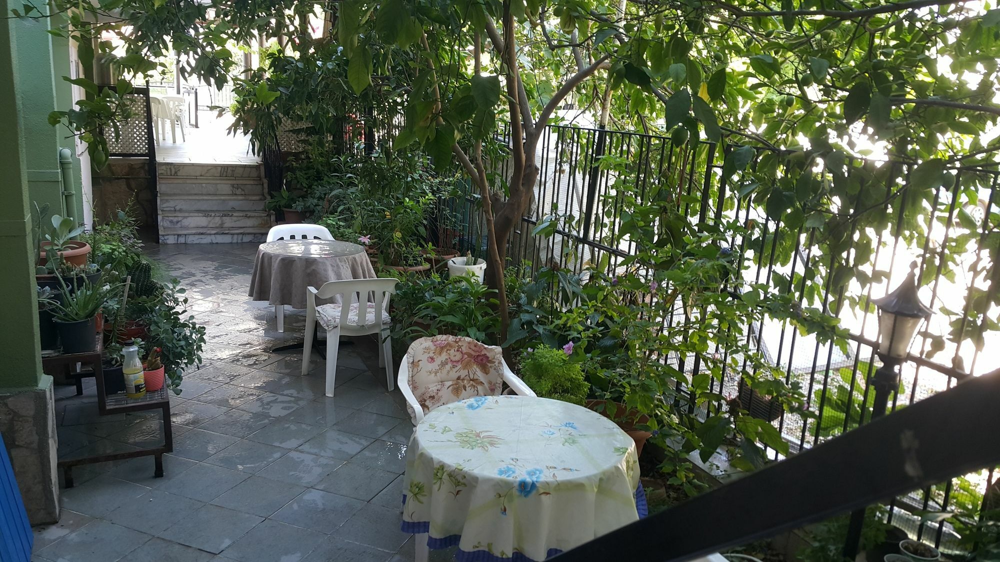 Cicek Hotel & Apartments Φετιγιέ Εξωτερικό φωτογραφία